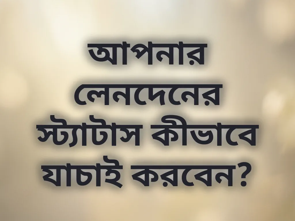 আপনার লেনদেনের স্ট্যাটাস কীভাবে যাচাই করবেন?